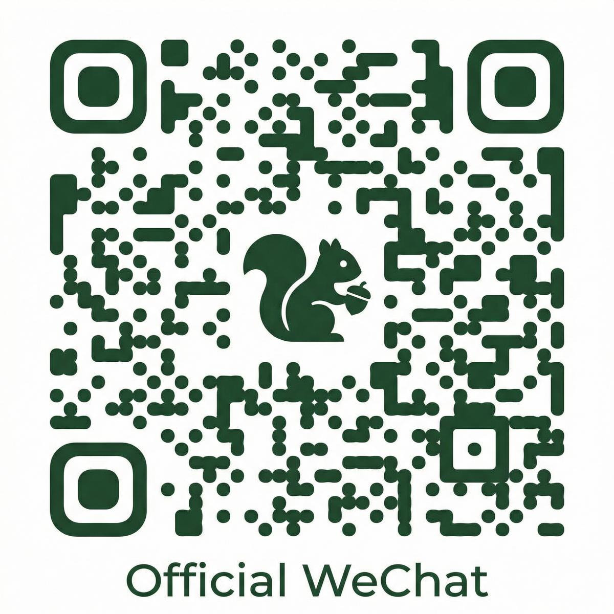 麻豆传媒公众号二维码